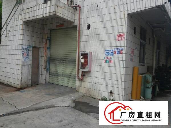 
同乐高速路口标准一楼380平方19元出租