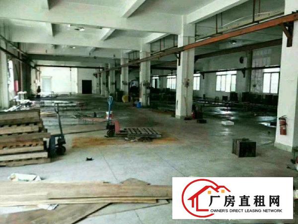 
龙岗同乐新出独栋厂房3900平可分租