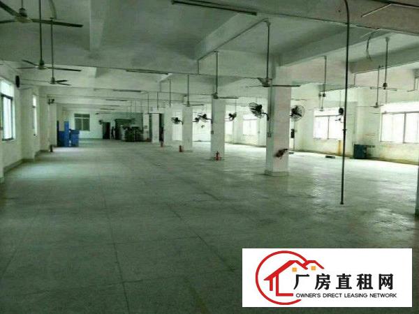 
龙岗同乐新出独栋厂房3900平可分租