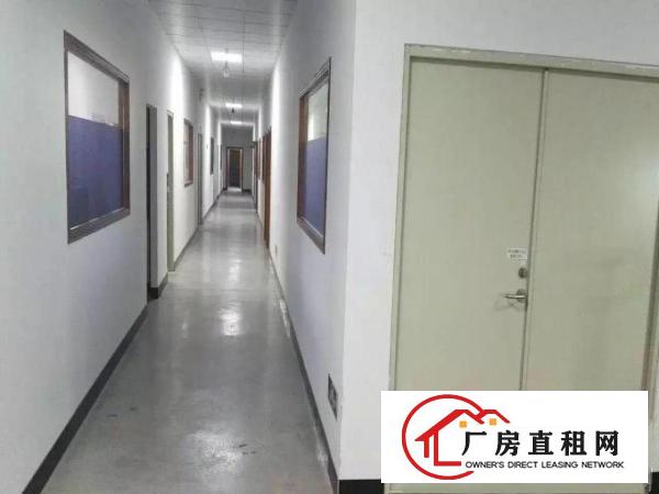 
南联地铁口电商厂房三楼900平米出租免转让费