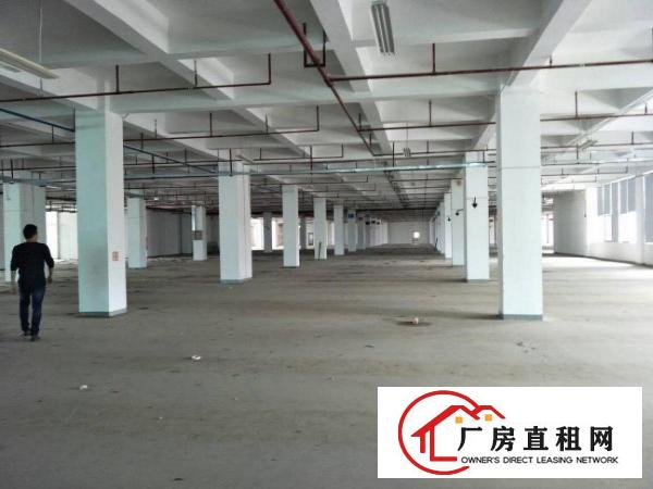 
带喷淋楼上厂房25000平招租