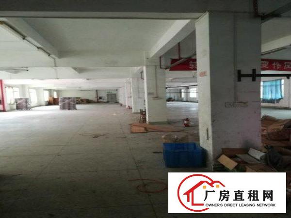 
龙岗同乐深汕路边大型工业园厂房出租