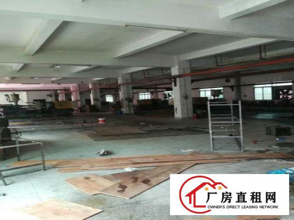 
龙岗同乐深汕路边大型工业园厂房出租