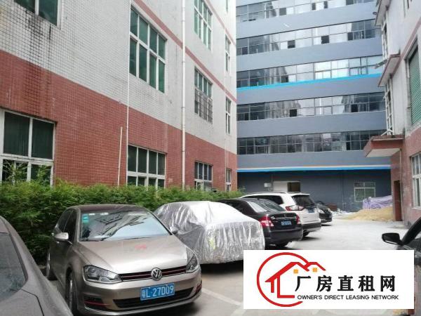 
龙岗南通道边利好国际大小面积招租