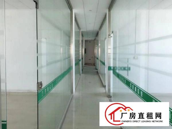 
龙岗南通道边利好国际大小面积招租