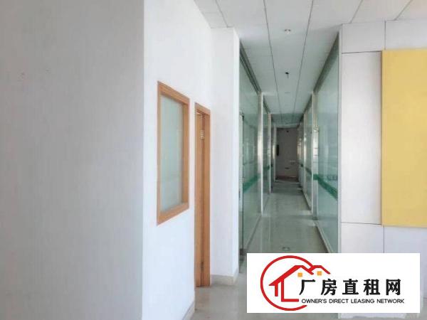 
龙岗南通道边利好国际大小面积招租