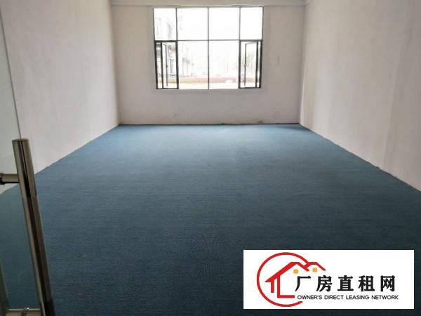 
龙岗龙新社区智慧城园区厂房办公大小面积出租
