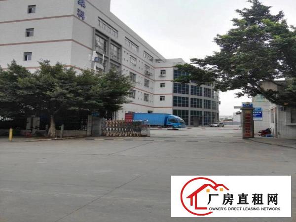 
龙岗宝龙工业城豪华装修厂房3300出租
