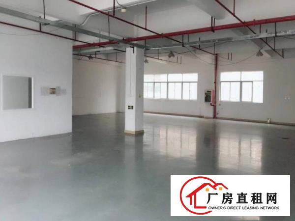 
龙岗宝龙工业城豪华装修厂房3300出租