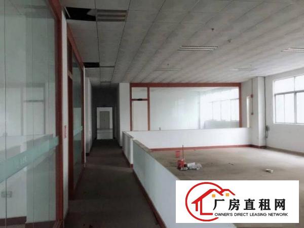 
龙岗宝龙工业城豪华装修厂房3300出租