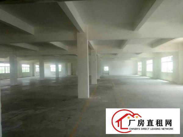 
龙岗创新产业园厂房仓库宿舍招租可分租