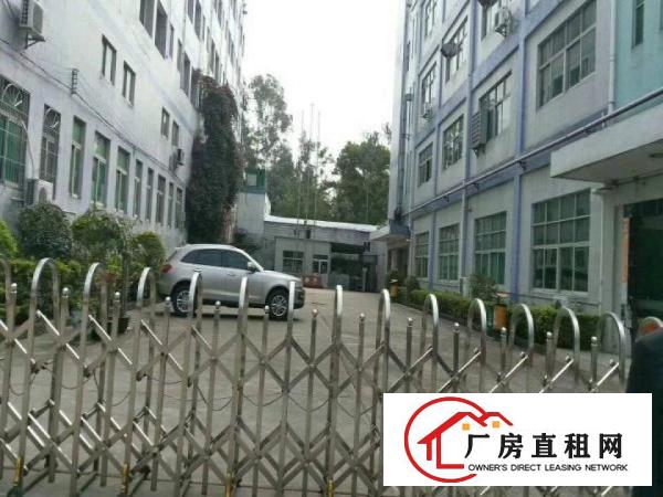 
龙岗南联南约宝龙厂房仓库招租