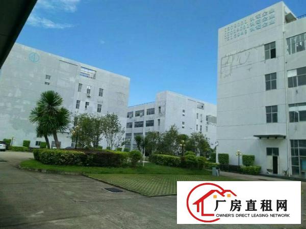 
龙岗大空地现成装修厂房仓库招租，可分租