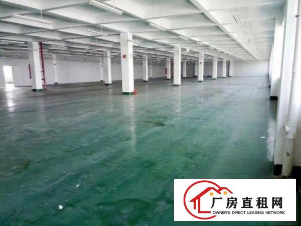 
龙岗宝龙产业园精装修厂房3000平米出租可分租
