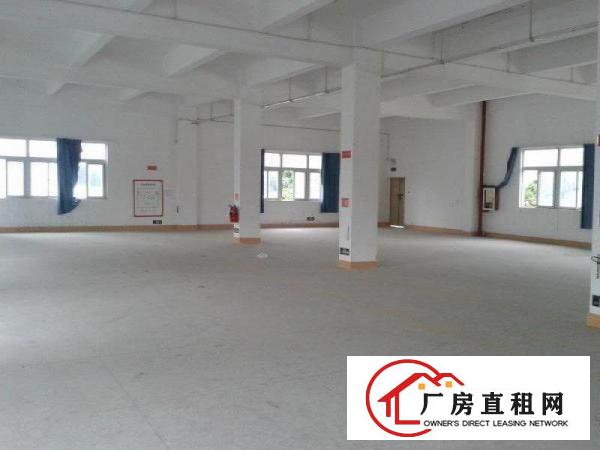 
龙岗中心城3号地铁沿线新出办公仓库电商办公室可分租