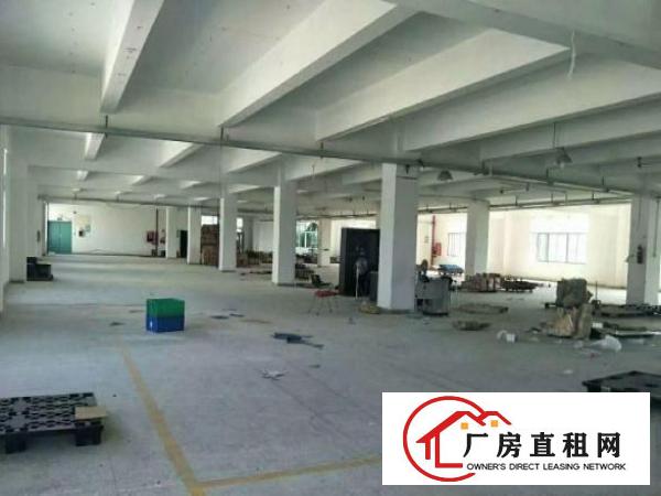 
横岗安良新出独门独院原房东厂房出租，无公摊
