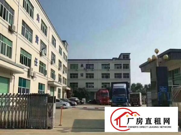 
横岗安良新出独门独院原房东厂房出租，无公摊
