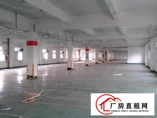 
龙岗新出独院带装修5800平厂房出租可大小分租