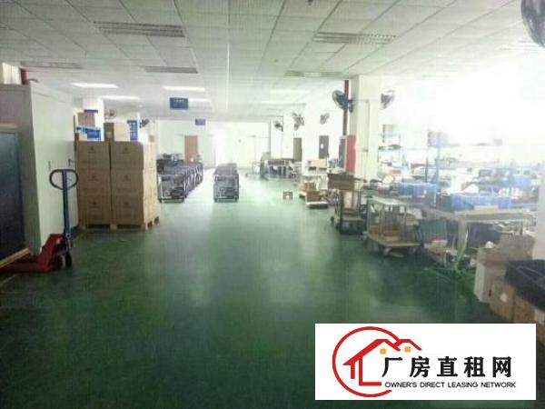 
龙岗南约1500平豪华装修厂房出租