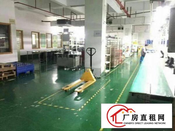 
龙岗南约1500平豪华装修厂房出租
