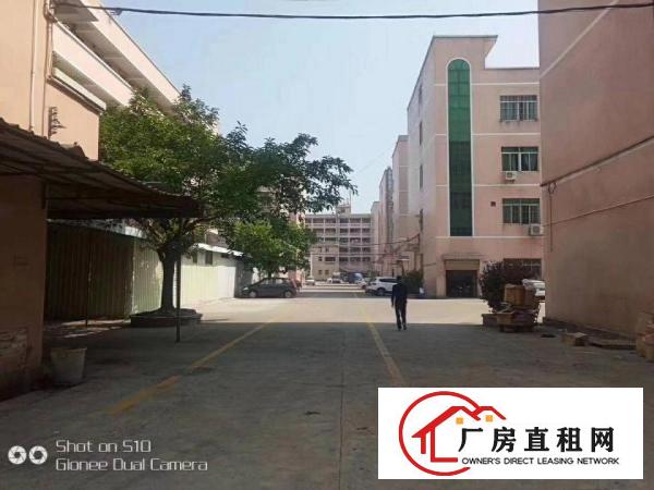 
龙岗同乐3900平米独栋原房东厂房出租