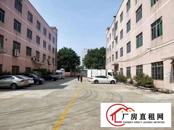 
龙岗同乐3900平米独栋原房东厂房出租