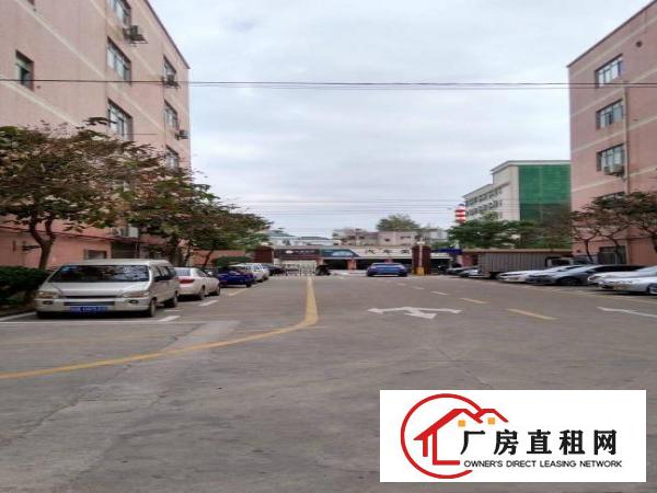 
龙岗南联学校旁边2500平米一楼厂房出租