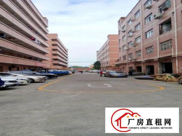 
龙岗南联学校旁边2500平米一楼厂房出租
