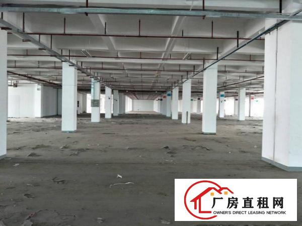 
喷淋物流仓招租15000