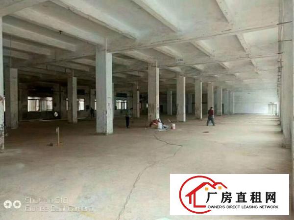 
L龙岗同乐25200超靓两套独院厂房出租大小可分租