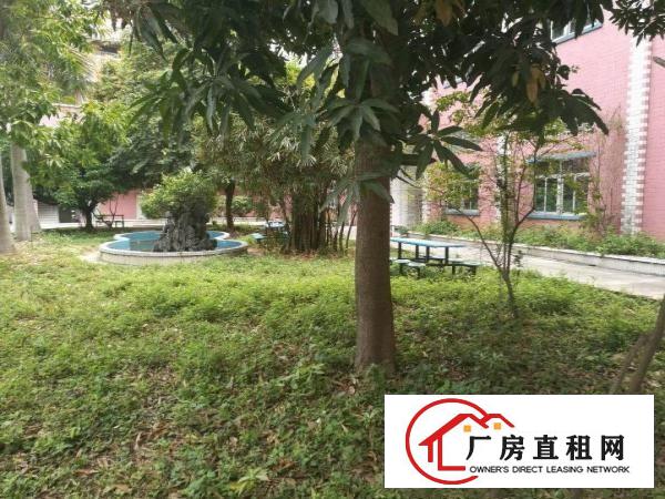
L龙岗龙西花园式原房东厂房2100平方可分租
