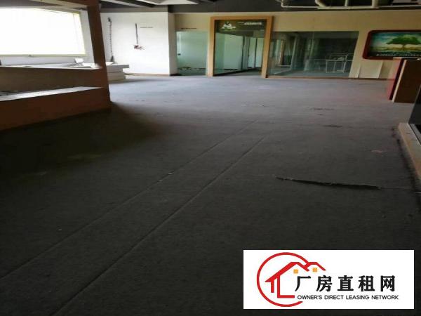 
龙岗中心城原房东商业楼800平无公摊