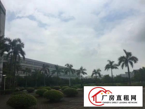 
龙岗南联一楼500平900平1500平米大小可分租