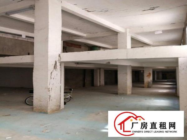 
龙岗300平500平800平一楼