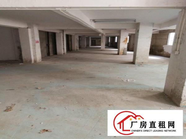 
龙岗300平500平800平一楼