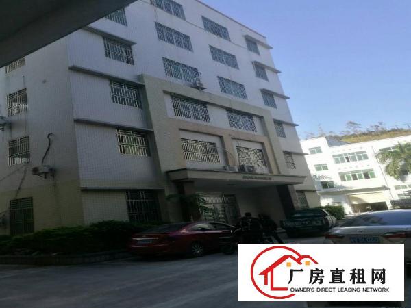 
龙镇宝龙独院带办公楼厂房招租