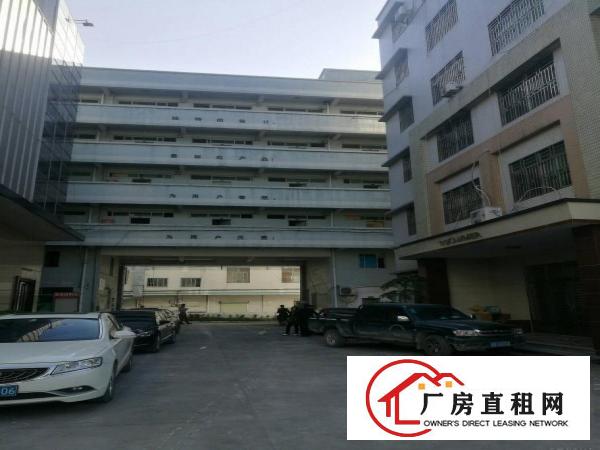 
龙镇宝龙独院带办公楼厂房招租