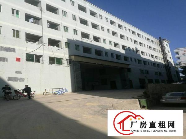 
龙镇宝龙独院带办公楼厂房招租