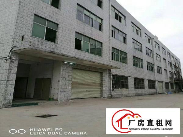 
龙岗厂房500平方米起招租