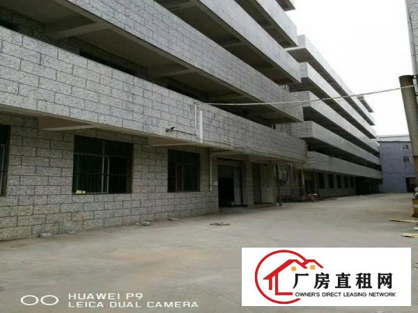 
龙岗厂房500平方米起招租