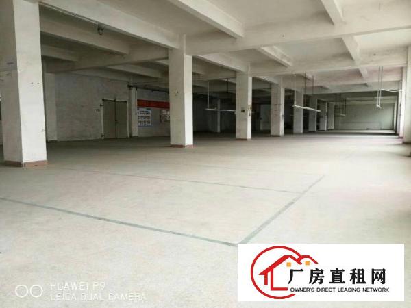 
龙岗厂房500平方米起招租