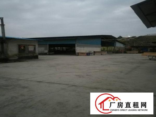 
龙岗7米铁皮厂房1500平方米招租