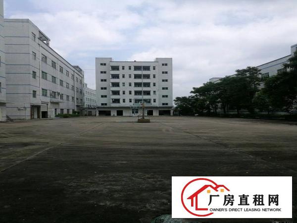 
龙岗镇一楼1000平方米招租