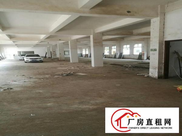 
龙岗爱联独院厂房3900平方米招租