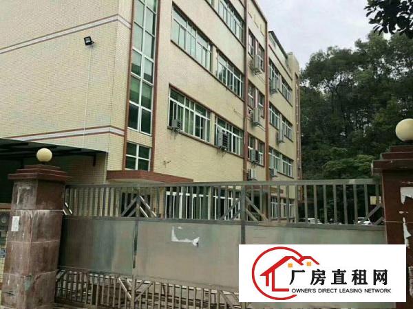 
龙岗、横岗坪山坪地村委独院厂房大小可分租带装修出租
