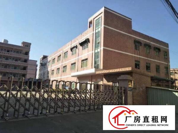 
龙岗、横岗坪山坪地村委独院厂房大小可分租带装修出租