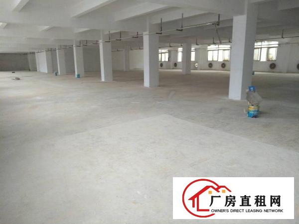 
龙岗地铁口原房东带装修独院12000平方大小可分租