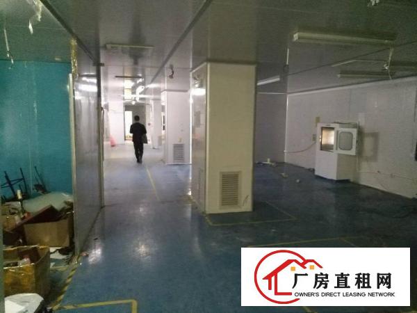 
龙岗爱联新出1200平方厂房带办公室装修出租