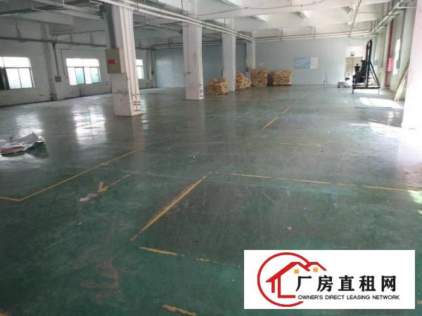 
龙岗爱联新出1200平方厂房带办公室装修出租