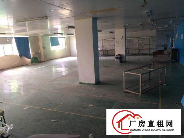 
龙岗爱联新出1200平方厂房带办公室装修出租
